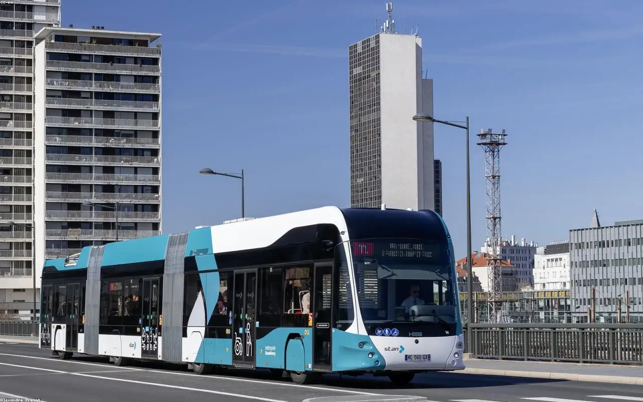 Eluttag och sladd med LED-ljuslampor i bakgrunden